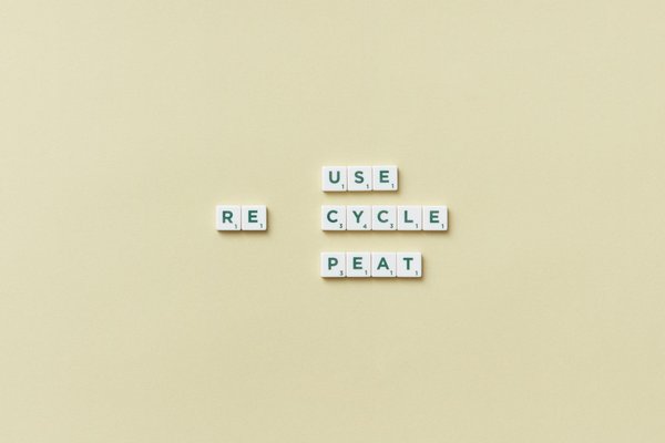 L'Épopée de la Danse à Travers les Âges : De l'Antiquité à Aujourd'hui